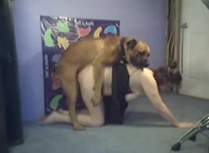 Video :Sexy teen animal sex with a brown dog